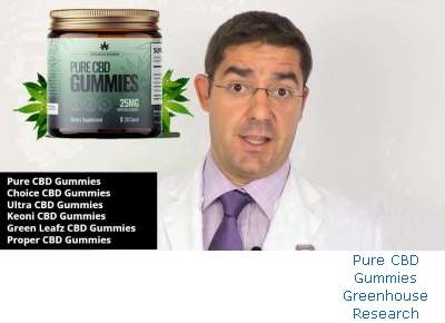 Pure CBD Gummies Ingredients Vs Uly CBD Gummies